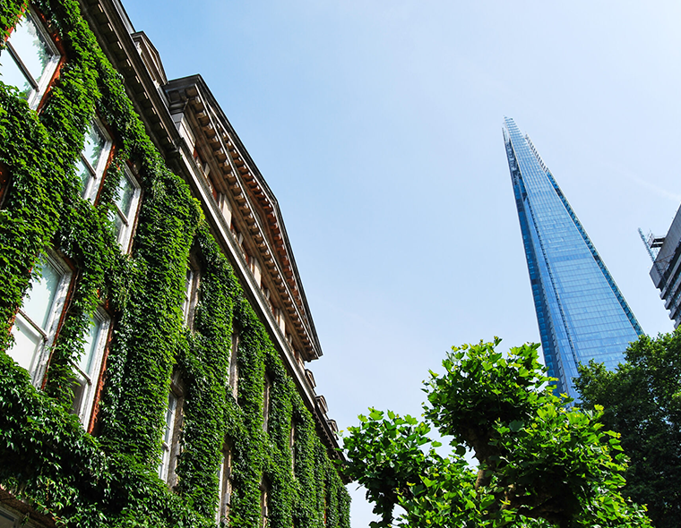 Guys Hospital London