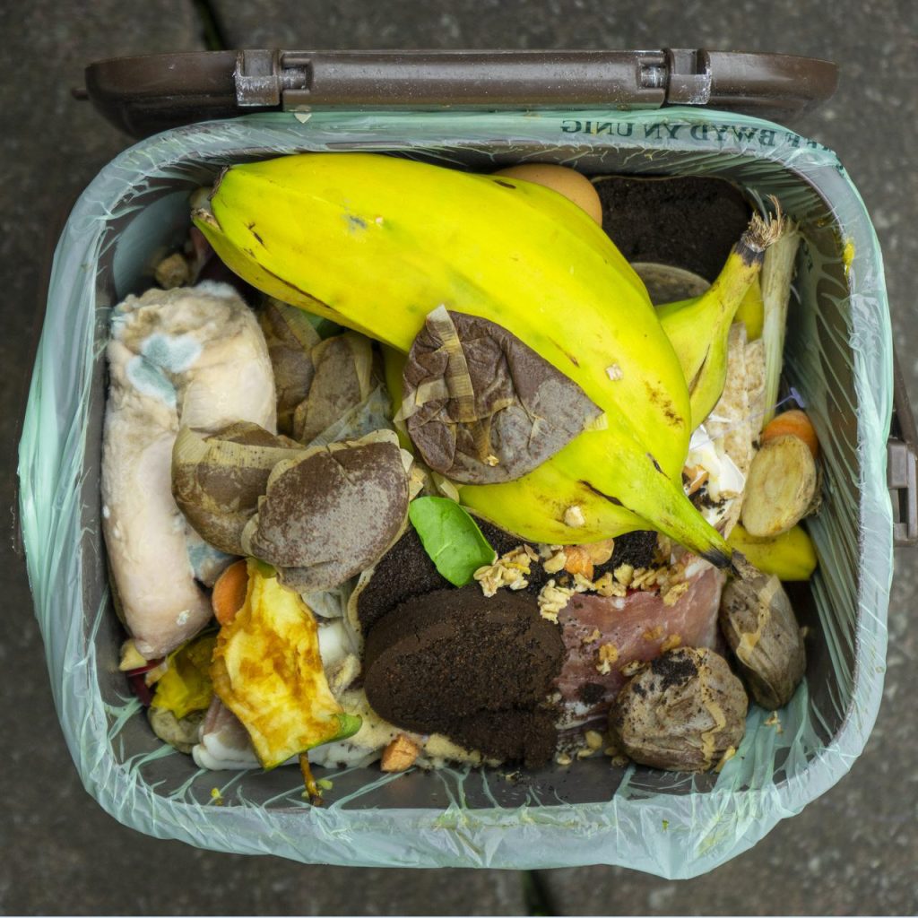 Inside of a smelly bin with food waste